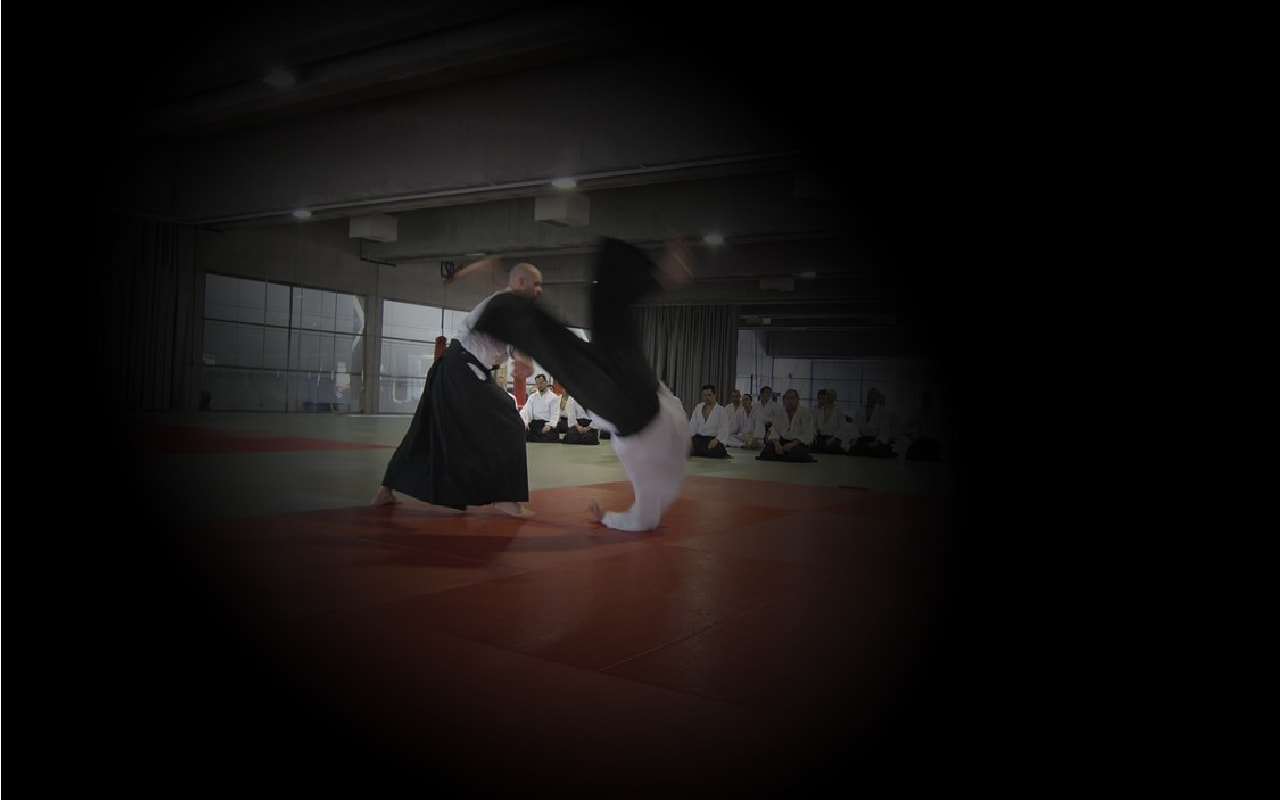 No es lucha. Es armonía. - Aikido Nogara Juku Getafe