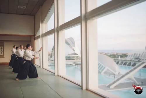 Gran participación en el seminario de Aikido de la territorial valenciana